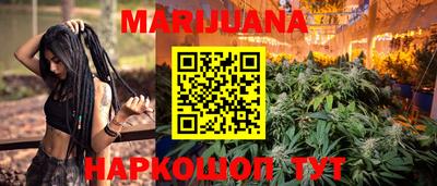 сатива Гай