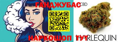 сатива Гай