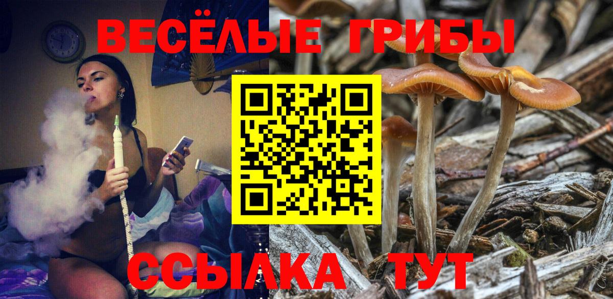 Галлюциногенные грибы Cubensis Дмитров